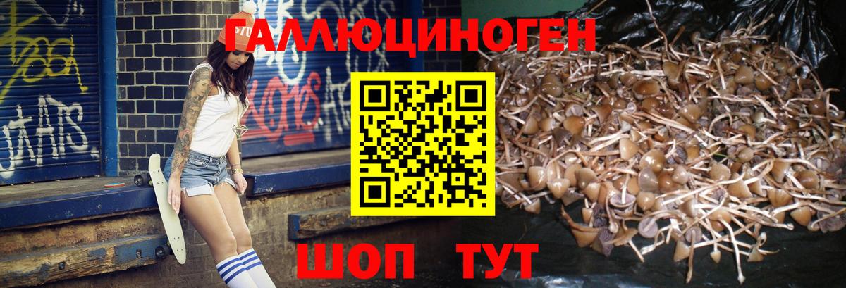 Псилоцибиновые грибы мицелий  Галлюциногенные грибы мухоморы  Вологда  Вход с VPN 